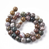 Natural Ocean Jasper Beads Strands G-F668-26-10mm-2