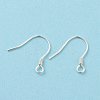 925 Sterling Silver Earring Hooks STER-D035-22S-2