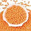 Opaque Baking Paint Glass Beads DGLA-T004-02H-1