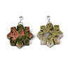 Natural Unakite Pendants G-T144-12G-1