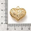 Brass with Cubic Zirconia Pendants KK-E792-30G-01-3