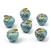  Synthetic Turquoise Teacher Apple Charms G-Z022-02F-G-1
