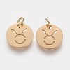 Ion Plating(IP) 304 Stainless Steel Pendants A-STAS-Q201-T445-2G-2
