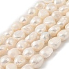 Natural Cultured Freshwater Pearl Beads Strands PEAR-P064-19K-02B-2