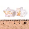 Transparent Resin Enamel Beads RESI-N043-02A-3