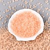 FGB Frosted Transparent Glass Seed Beads SEED-N013-05A-03-2