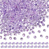 45G Transparent Baking Paint Glass Seed Beads SEED-SZ0001-028H-1
