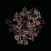 Luminous Transparent Resin Cabochons RESI-D013-05A-2