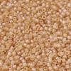 MIYUKI Delica Beads SEED-X0054-DB0852-3