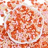 Glass Seed Beads SEED-K010-03N-3