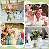 Transparent Glass Hydroponic Vase AJEW-WH0348-441B-6
