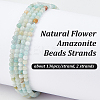 2 Strands Natural Flower Amazonite Beads Strands G-OC0005-63-4