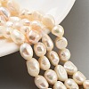 Natural Cultured Freshwater Pearl Beads Strands PEAR-P062-28E-1