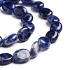 Natural Sodalite Beads Strands G-E560-L01-3