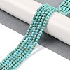 Synthetic Turquoise Beads Strands G-U004-02E-2