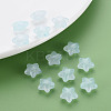 Transparent Acrylic Beads MACR-S373-26E-07-6