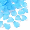 Transparent Frosted Acrylic Pendants MACR-S371-09A-755-1