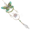 Stainless Steel Resin Butterfly Suncatcher HJEW-TA00451-02-2