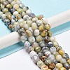 Natural White African Opal Beads Strands G-C038-02S-2