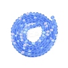 Transparent Glass Beads Strands EGLA-A044-T4mm-MB14-3
