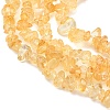 Chip Natural Citrine Beads Strands G-N0134-21-3