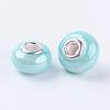 Handmade Porcelain European Beads OPDL-G001-1-2