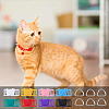 64Pcs 25 Style Rectangle Shape Plastic Buckle Clasps FIND-DC0004-63-6
