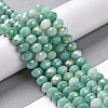 Faceted Electroplated Glass Beads Strands X-GLAA-C023-02-B08-2
