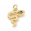 Brass Micro Pave Cubic Zirconia Charms KK-C012-16G-2