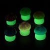 Luminous Resin Mushroom Ornament RESI-F045-06B-2