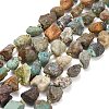 Raw Rough Natural HuBei Turquoise Beads Strands G-A322-B03-02-2