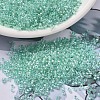 MIYUKI Delica Beads LS-X-SEED-J020-DB1707-1