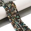 Natural HuBei Turquoise Beads Strands G-G140-A05-04-5