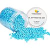 8/0 Round Glass Seed Beads SEED-PH0005-05-1