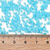 Imitation Cat Eyes Glass Seed Beads SEED-H003-03E-4