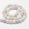 Shell Pearl Bead Strands X-BSHE-L017-10-2