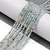 Natural Amazonite Beads Strands G-E351-10A-01-2