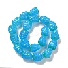 Handmade Lampwork Beads Strands LAMP-G162-05C-1