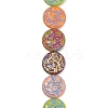 Painted Glass Beads Strands GLAA-F133-07A-1