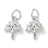 Rack Plating Brass Micro Pave Clear Cubic Zirconia Charms KK-D097-05P-1