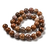 Natural Petrified Wood Round Bead Strands G-F266-08-12mm-4