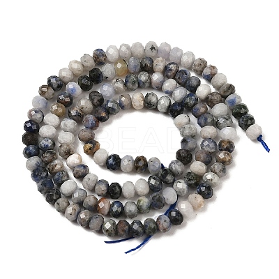 Natural Blue Spot Jasper Beads Strands G-D347-B06-1