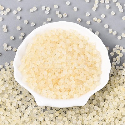 Frosted Glass Seed Beads SEED-N012-01F-1