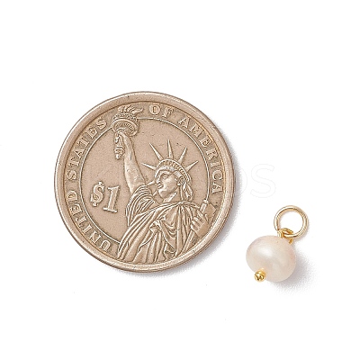 6Pcs 2 Colors Natural Freshwater Pearl Potato Charms with 304 Stainless Steel Findings PALLOY-JF04943-1