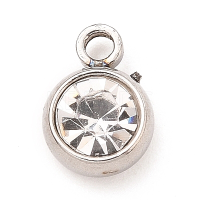 304 Stainless Steel Charms LS-STAS-I165-04C-P-09-1