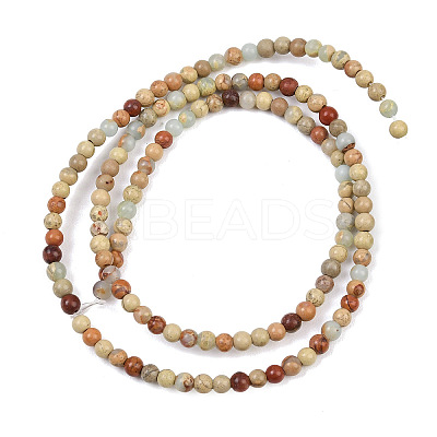 Natural Aqua Terra Jasper Beads Strands G-E444-14B-3mm-1