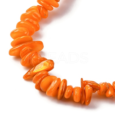Natural Freshwater Shell Beads Strands BSHE-I016-01C-1