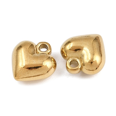304 Stainless Steel Charms STAS-L303-13G-1