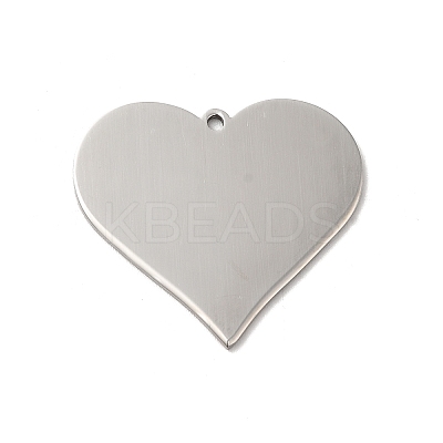 Non-Tarnish 304 Stainless Steel Pendants STAS-D048-02P-1