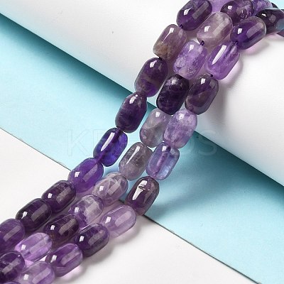 Natural Amethyst Beads Strands G-G980-20-1